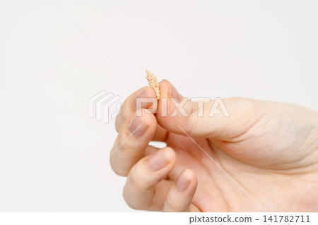 A woman's hand holding a small amount of moxa between her fingertips. A woman's hand holding a small amount of moxa between her fingertips. 141782711