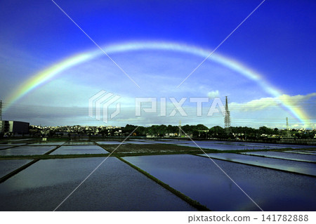 Sunrise scenery in Ebina Sunrise scenery in Ebina 141782888