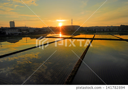 Sunrise scenery in Ebina Sunrise scenery in Ebina 141782894