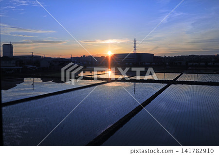 Sunrise scenery in Ebina Sunrise scenery in Ebina 141782910