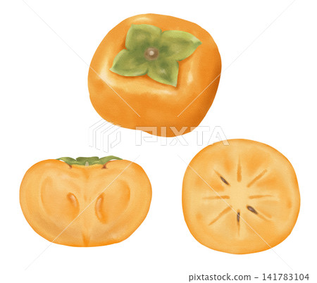 A set of three watercolor paintings of persimmons. A set of three watercolor paintings of persimmons. 141783104
