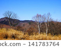 [Kanagawa Prefecture] Autumn foliage on the summit of Jinba Plateau and the Okutama mountain range 141783764