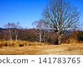 [Kanagawa Prefecture] Winter trees on the summit of Jinba Plateau and the Okutama mountain range 141783765