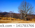 [Kanagawa Prefecture] Winter trees and autumn foliage on the summit of Jinba Plateau and the Okutama mountain range. 141783766