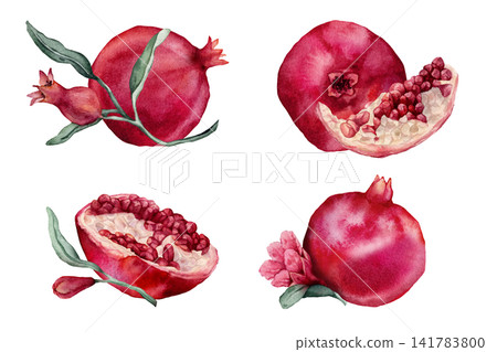 Set of compositions with whole pomegranate fruit and halved pomegranate showing red arils, flowers. Watercolor hand drawn illustration. Botanical tropical element isolated for food design. Set of compositions with whole pomegranate fruit and halved pomegranate showing red arils, flowers. Watercolor hand drawn illustration. Botanical tropical element isolated for food design. 141783800
