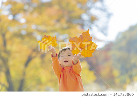 在秋葉公園玩耍的男孩 在秋葉公園玩耍的男孩 141783860