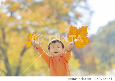 在秋葉公園玩耍的男孩 在秋葉公園玩耍的男孩 141783861