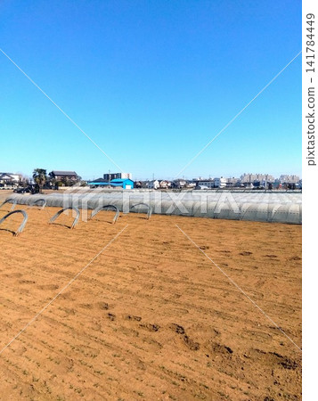 A vegetable field landscape showing the footprints of late winter in the suburbs of the Tokyo metropolitan area. A vegetable field landscape showing the footprints of late winter in the suburbs of the Tokyo metropolitan area. 141784449