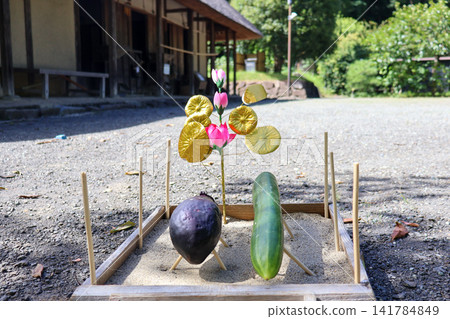 Cucumber and eggplant used as decorations for the Obon festival. Cucumber and eggplant used as decorations for the Obon festival. 141784849