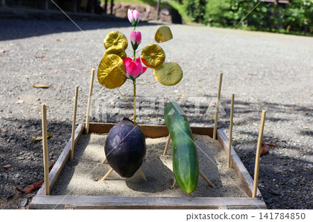 Cucumbers and eggplants used as decorations for the Obon festival in an old Japanese house. Cucumbers and eggplants used as decorations for the Obon festival in an old Japanese house. 141784850