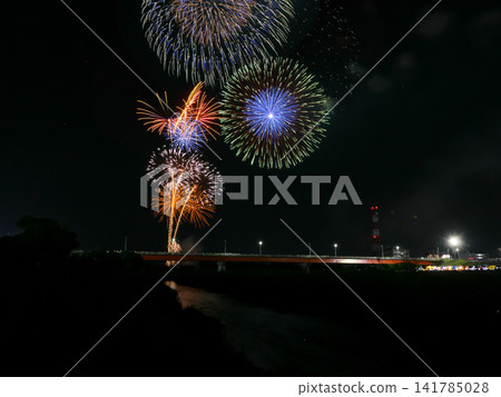圖1：2026年第110屆足利煙火大會 141785028
