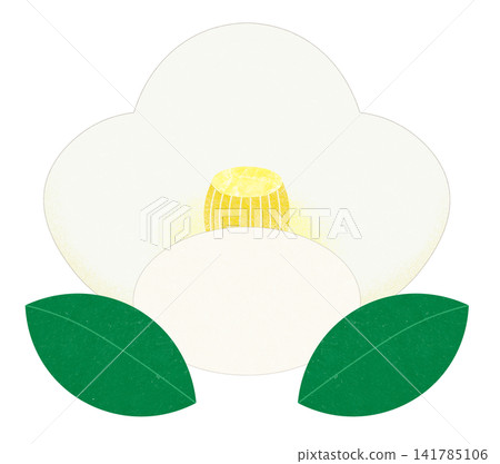 白色山茶花 白色山茶花 141785106