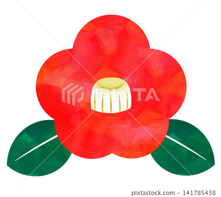 Red camellia Red camellia 141785438