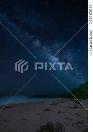 Ishigaki Island, the Milky Way shines brightly over the tropical peaches. 141785656