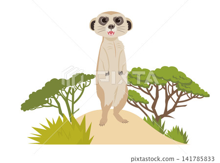 非洲動物狐獴 非洲動物狐獴 141785833
