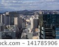 The cityscape of Sendai and the distant mountains 141785906