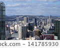 View of Sendai city and mountain range 141785930