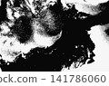 Abstract Ink Marble Black and White Grunge Vector Texture 141786060