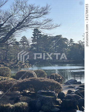 冬日清晨,靜謐的花園 冬日清晨,靜謐的花園 141786455