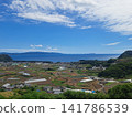 A quintessential Japanese landscape overlooking the sea: terraced rice fields and a blue sky. A quintessential Japanese landscape overlooking the sea: terraced rice fields and a blue sky. 141786539