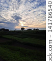A rural landscape at dusk, with beautiful cirrocumulus clouds spreading across the sky. A rural landscape at dusk, with beautiful cirrocumulus clouds spreading across the sky. 141786540