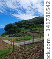 A rural farm road and a small torii gate, surrounded by blue sky and the sea. A rural farm road and a small torii gate, surrounded by blue sky and the sea. 141786542