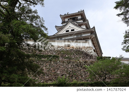 從高知城主塔的全景圖中可以看到這座主塔矗立在高高的石牆上。 141787024