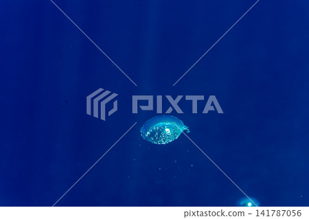潛水員在小笠原群島呼出的氣體 潛水員在小笠原群島呼出的氣體 141787056