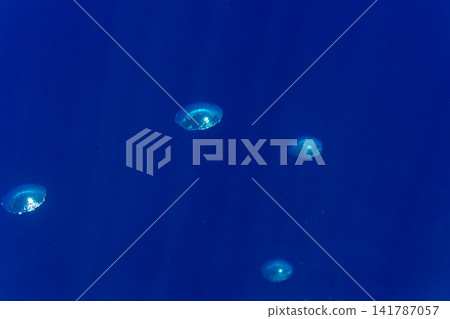 潛水員在小笠原群島呼出的氣體 141787057