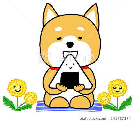 一隻柴犬在蒲公英旁開心地吃著一個大飯糰。 一隻柴犬在蒲公英旁開心地吃著一個大飯糰。 141787374