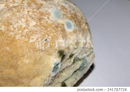 Moldy mould on home made bread roll funus food waste Moldy mould on home made bread roll funus food waste 141787726