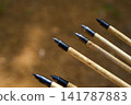 Close-up of traditional wooden archery arrows with metal tips. 141787883