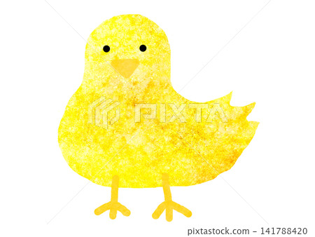 Chick Chick 141788420