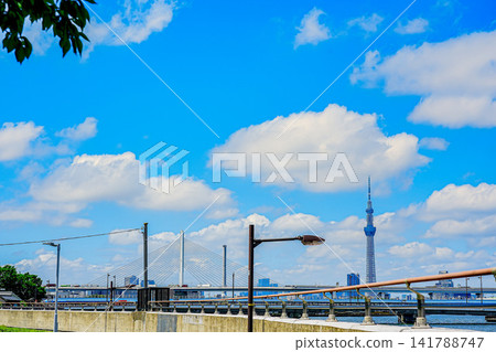Skytree as seen from Nakagawa Promenade Skytree as seen from Nakagawa Promenade 141788747