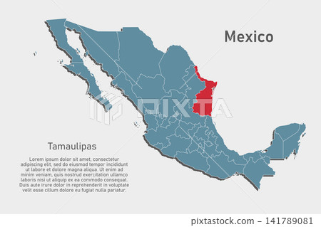 Vector map of Mexico - Tamaulipas State Vector map of Mexico - Tamaulipas State 141789081