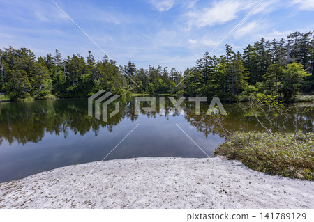 北海道大雪山:遊覽大雪高原沼澤,欣賞初夏時節綠色沼澤和殘雪交相輝映的壯麗景色。 北海道大雪山:遊覽大雪高原沼澤,欣賞初夏時節綠色沼澤和殘雪交相輝映的壯麗景色。 141789129