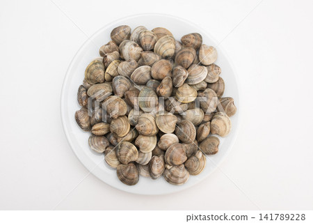 A pile of fresh clams on a white plate, top view, without netting A pile of fresh clams on a white plate, top view, without netting 141789228