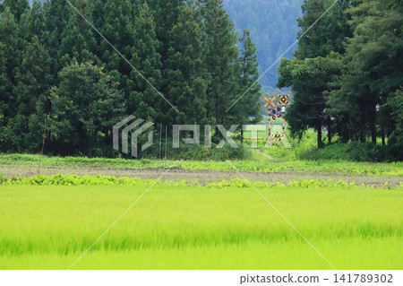 Ban'etsu West Line: "A small level crossing nestled amidst a summer rural landscape and forest." 141789302