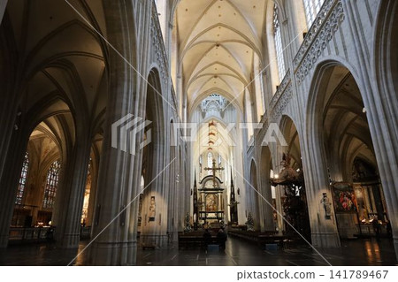 Interior of Notre Dame Cathedral [Antwerp, Belgium] 141789467