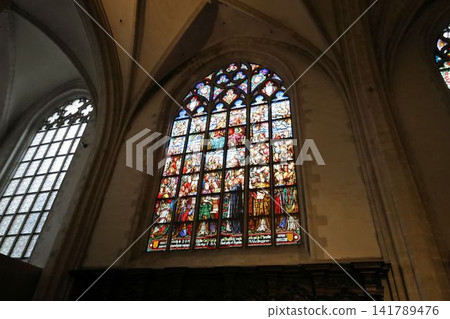 Stained glass windows of Notre Dame Cathedral [Antwerp, Belgium] 141789476