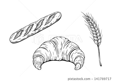 Hand drawn baguette croissant and wheat illustration for bakery design Hand drawn baguette croissant and wheat illustration for bakery design 141789717