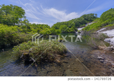 A spectacular early summer scene of Ezo Marsh in the Daisetsuzan Mountains of Hokkaido, adorned with lingering snow. A spectacular early summer scene of Ezo Marsh in the Daisetsuzan Mountains of Hokkaido, adorned with lingering snow. 141789726