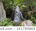 The refreshing three-tiered waterfall and powerful, clear stream scenery of the Japanese garden, Sankei-en. 141789869
