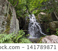 The impressive three-tiered waterfall and the lush greenery surrounded by giant rocks at Sankeien Garden in Mihara City, Hiroshima Prefecture 141789871