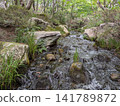 A clear stream and rocky cliffs flowing through the lush green forest of Sankeien in Mihara City, Hiroshima Prefecture. 141789872