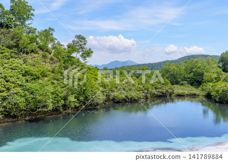 Hokkaido's Daisetsuzan: A breathtaking early summer scene of Shikibu Pond in the Daisetsuzan Plateau marshland and lingering snow. Hokkaido's Daisetsuzan: A breathtaking early summer scene of Shikibu Pond in the Daisetsuzan Plateau marshland and lingering snow. 141789884