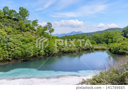 Hokkaido's Daisetsuzan: A breathtaking early summer scene of Shikibu Pond in the Daisetsuzan Plateau marshland and lingering snow. Hokkaido's Daisetsuzan: A breathtaking early summer scene of Shikibu Pond in the Daisetsuzan Plateau marshland and lingering snow. 141789885