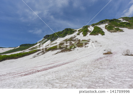 The lingering snow and the spectacular early summer scenery of Daigaku-numa Pond in the Daisetsuzan Plateau of Hokkaido. The lingering snow and the spectacular early summer scenery of Daigaku-numa Pond in the Daisetsuzan Plateau of Hokkaido. 141789996