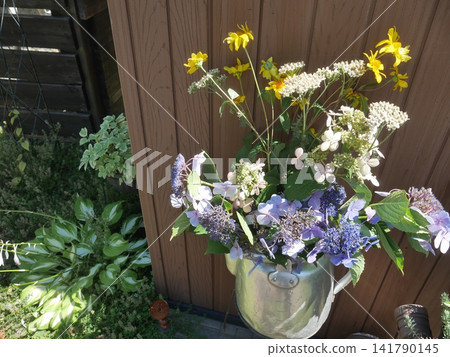 Cut flowers decorating a watering can Cut flowers decorating a watering can 141790145