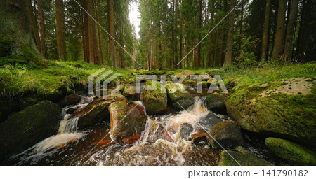 A peaceful woodland creek winding through a lush green forest with moss-covered rocks, crystal-clear water and warm sunlight creating a serene natural landscape and tranquil atmosphere. A peaceful woodland creek winding through a lush green forest with moss-covered rocks, crystal-clear water and warm sunlight creating a serene natural landscape and tranquil atmosphere. 141790182